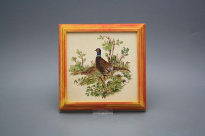 Bild 18cm Fasan kCMB č.1