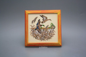 Bild 18cm Wildente kCMB