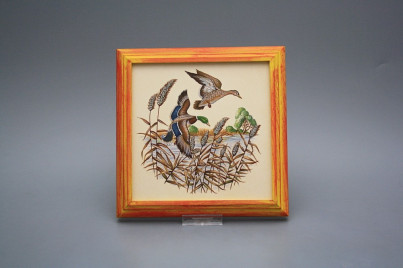 Bild 18cm Wildente kCMB č.1