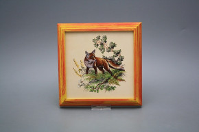 Bild 18cm Fuchs kCMB
