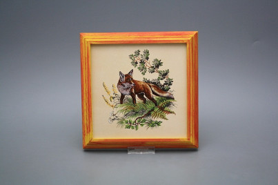 Bild 18cm Fuchs kCMB č.1