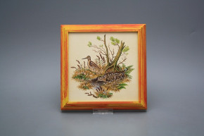 Bild 18cm Schnepfe kCMB