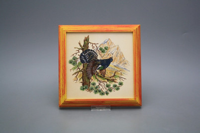 Bild 18cm Auerhahn kCMB č.1