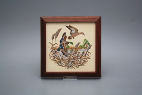 Bild 18cm Wildente kMHB