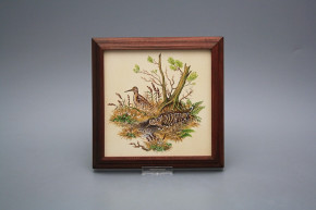 Bild 18cm Schnepfe kMHB