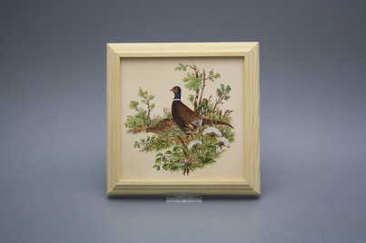 Bild 18cm Fasan kPBB č.1