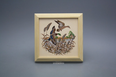 Bild 18cm Wildente kPBB č.1
