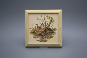 Bild 18cm Schnepfe kPBB