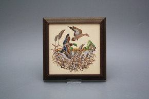 Bild 18cm Wildente kTHB