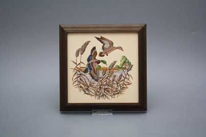 Bild 18cm Wildente kTHB č.1