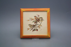 Bild 18cm Buchfink kCMB