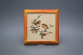 Bild 18cm Rotkehlchen kCMB