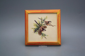 Bild 18cm Schwanzmeise kCMB