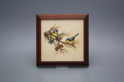 Bild 18cm Blaumeise kMHB č.1