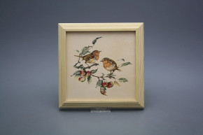 Bild 18cm Rotkehlchen kPBB