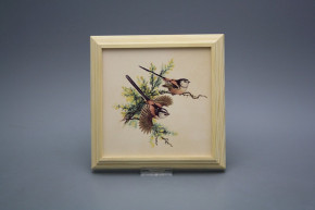 Bild 18cm Schwanzmeise kPBB