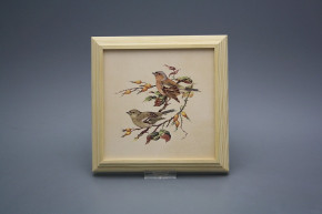 Bild 18cm Buchfink kPBB