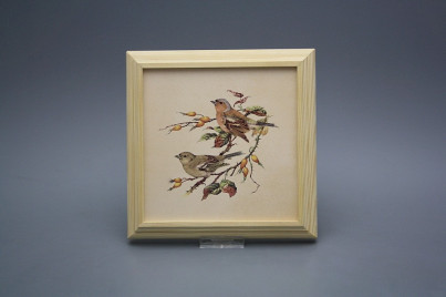 Bild 18cm Buchfink kPBB č.1