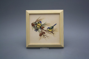 Bild 18cm Blaumeise kPBB
