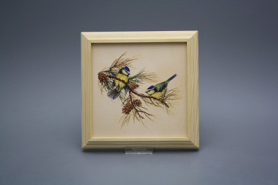 Bild 18cm Blaumeise kPBB č.1
