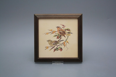 Bild 18cm Buchfink kTHB č.1