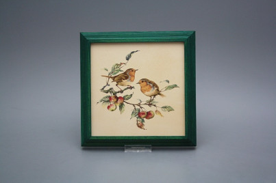 Bild 18cm Rotkehlchen kZLB č.1