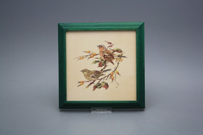 Bild 18cm Buchfink kZLB
