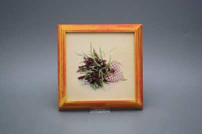 Bild 18cm Provence kCMB č.1