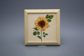 Bild 18cm Sonnenblumen kPBB