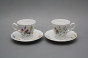 Kaffeetasse 0,2l und Untertasse Alaska Blumenwiese BB č.2