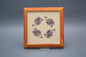 Bild 18cm Veilchen kCMB