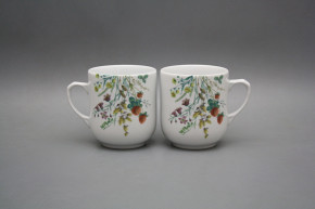 Tasse Trojka 0,3l Blumenwiese Motiv C BB