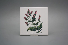 Fliesenset 15x15cm Herbs 6tlg. weiß glänzend