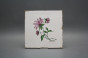 Forli Blanco Wandfliese 20x20cm Herbs 6-teiliges Set č.4