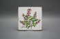 Forli Blanco Wandfliese 15x15cm Herbs Classic 6-teiliges Set č.6