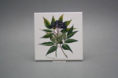Fliesenset 15x15cm Herbs 6tlg. weiß matt č.1