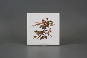Fliese 15x15cm Fink weiß glänzend