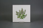 Fliesenset 20x20cm Herbs Classic 6tlg. weiß glänzend č.4