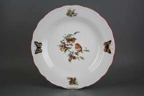 Runde flache Schüssel 31cm Verona Vöglein GCL