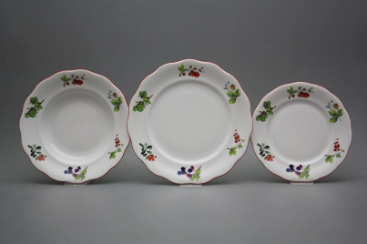 Tellerset Alaska Waldbeeren 36teiliges ACL č.1