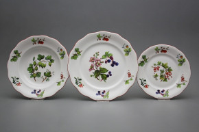 Tellerset Alaska Waldbeeren 12teiliges FCL