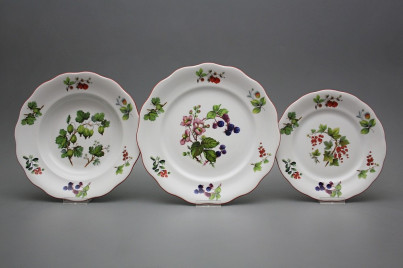 Tellerset Alaska Waldbeeren 24teiliges FCL č.1