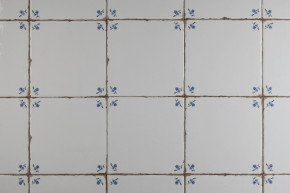Forli Blanco Wandfliese 20x20cm Vergissmeinnicht Streuer E Forli Blanco Wandfliese 20x20cm Vergissmeinnicht Streuer E