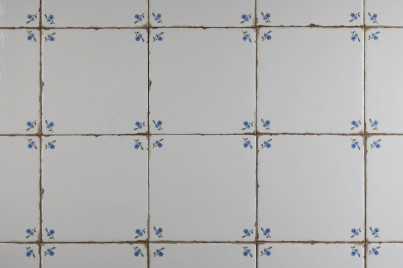 Forli Blanco Wandfliese 20x20cm Vergissmeinnicht Streuer E č.1