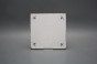 Forli Blanco Wandfliese 20x20cm Vergissmeinnicht Streuer E č.2