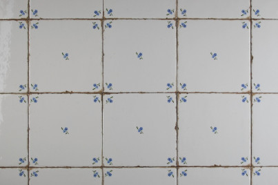 Forli Blanco Wandfliese 15x15cm Vergissmeinnicht Streuer G č.1