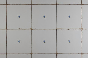 Forli Blanco Wandfliese 15x15cm Vergissmeinnicht Streuer I