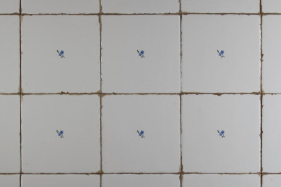 Forli Blanco Wandfliese 15x15cm Vergissmeinnicht Streuer I č.1