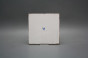 Forli Blanco Wandfliese 15x15cm Vergissmeinnicht Streuer I č.2