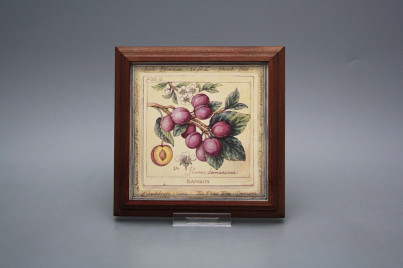 Bild 18cm Fruits kMHB č.1